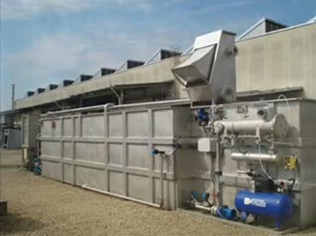 FF System